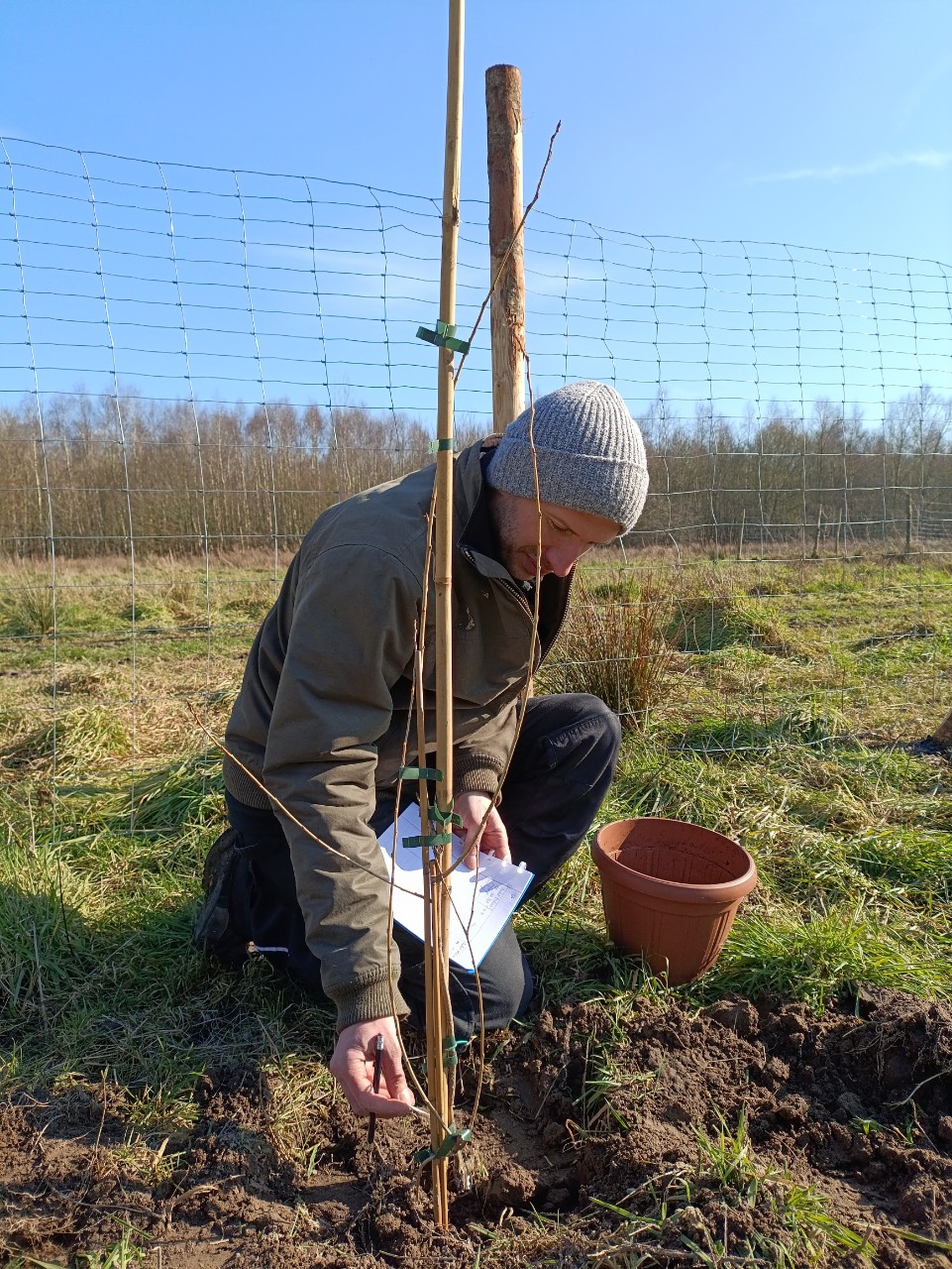 medewerker plant stek van een erfgoedboom aan