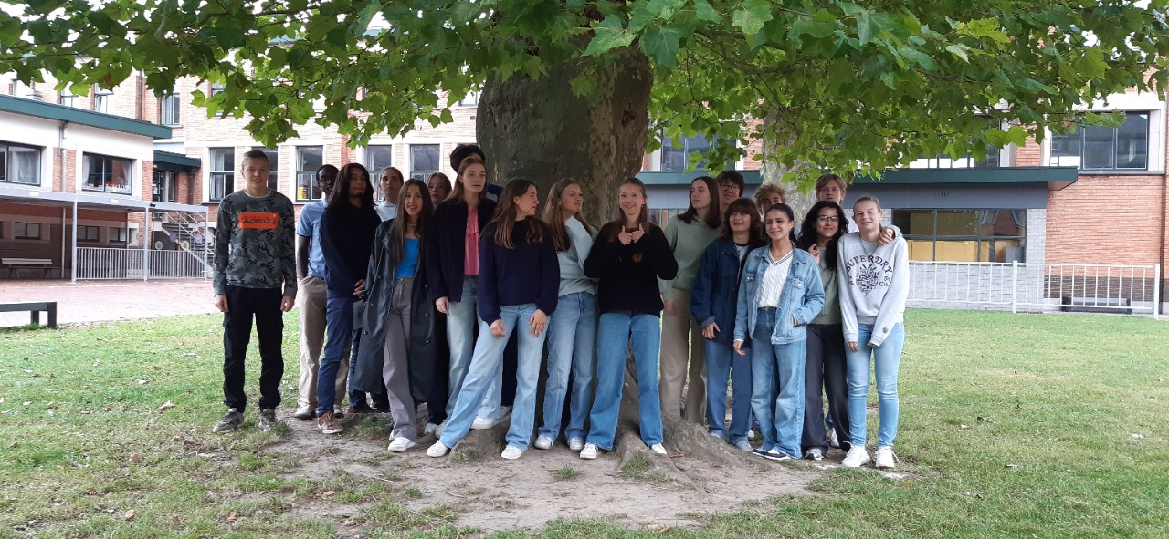 Foto Winnaar Stad Ronse