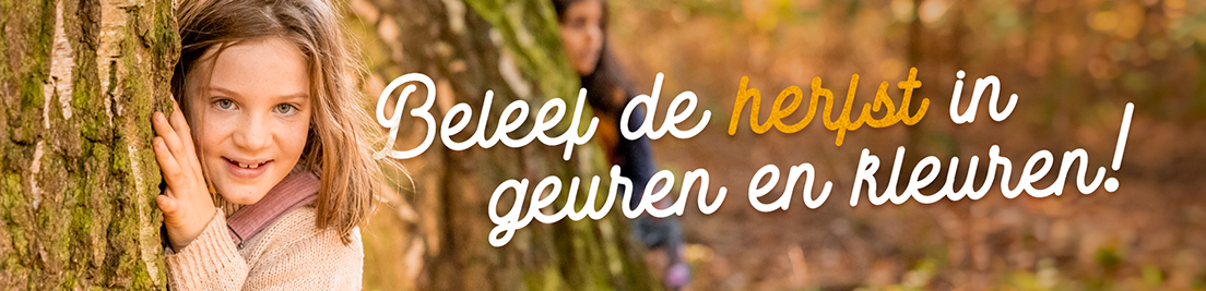 beleef de herfst in geuren en kleuren - banner met kind dat in bos speelt in de herfst