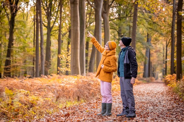 koppel maakt herfstwandeling in de bossen van Het Leen