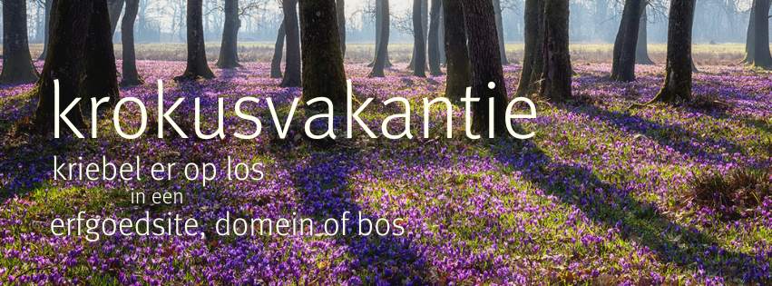 campagnebeeld krokusvakantie: kriebel er op los in een erfgoedsite, domein of bos