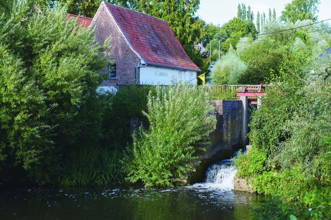 zwalmmolen