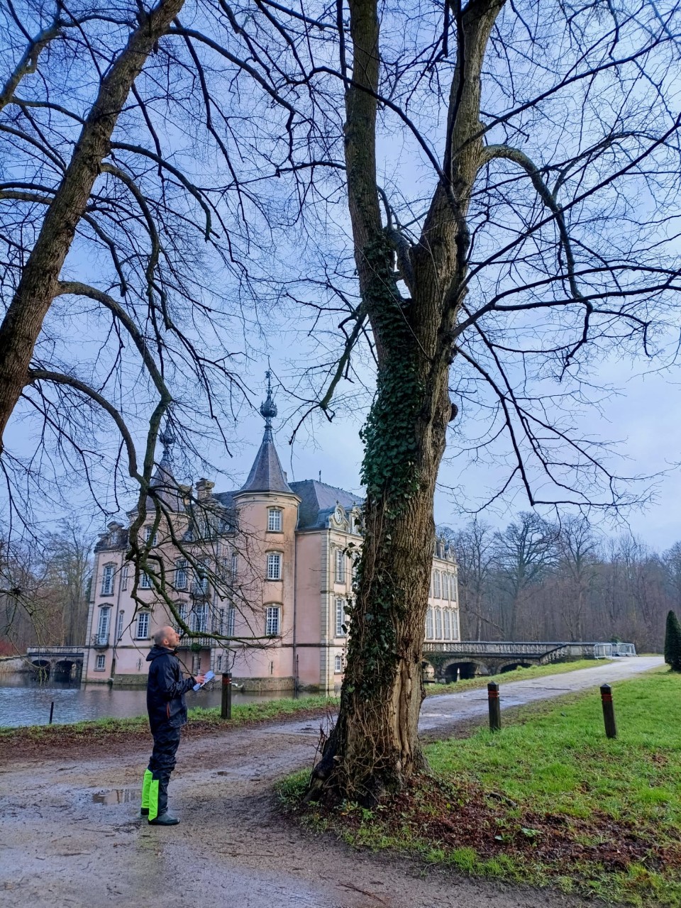 Man onderzoekt erfgoedboom